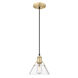 Orwell 1 Light 8 inch Brushed Champagne Bronze Pendant Ceiling Light